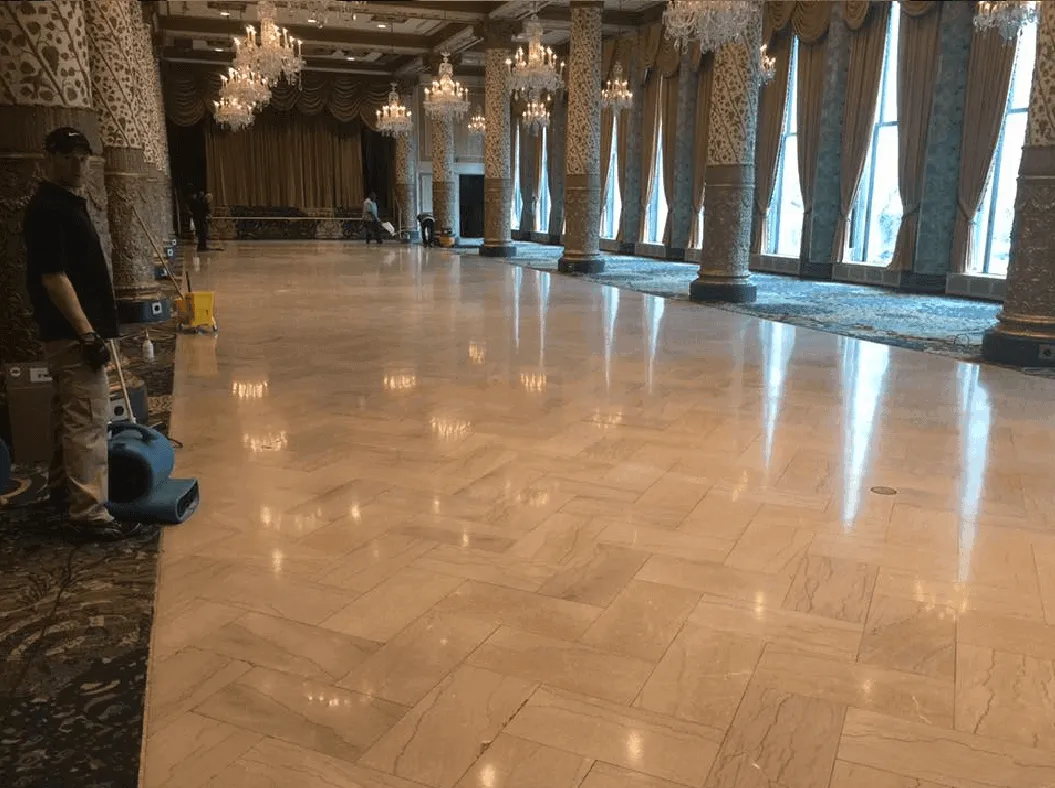 Terrazzo & Marble Floor Polishing Chicago IL
