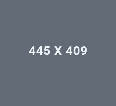 445x409 icon